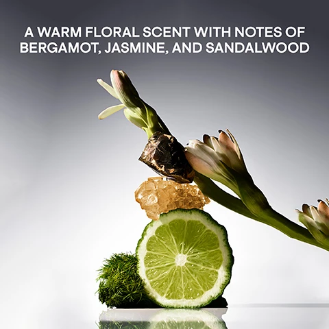 Image 1 - An artistic arrangement of lime slices, moss, stones, and flowers on a gradient background with the text A WARM FLORAL SCENT WITH NOTES OF BERGAMOT, JASMINE, AND SANDALWOOD.
Image 2 - A side-by-side comparison of two images showing a close-up of a knee area; the left side labeled BEFORE displays dry skin, while the right side labeled AFTER shows smooth, hydrated skin with a glossy finish.
Image 3 - An image of a white body crème with text highlighting its benefits, including gently exfoliates with prickly pear extract, moisturizes and smooths skin with marula oil, mango seed butter, and shea butter, and protects the skin barrier with rosemary extract and rice bran oil.
Image 4 - A collection of body care products displayed with fresh ingredients, featuring bottles with pastel colors and a pink background, along with the text BODY CARE MADE TO BE SEEN and SHOP THE FULL COLLECTION.