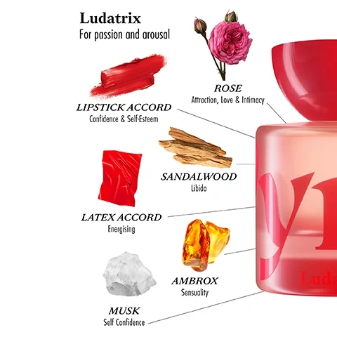Image 5 - A red perfume bottle labeled V1 Ludatrix with a red cap is shown with six ingredients connected by lines: a pink rose labeled ROSE Attraction, Love & Intimacy, a red lipstick smudge labeled LIPSTICK ACCORD Confidence & Self-Esteem, red fabric labeled LATEX ACCORD Energising, wood chips labeled SANDALWOOD Libido, amber pieces labeled AMBROX Sensuality, and a white rock labeled MUSK Self Confidence, presented under the title Ludatrix For passion and arousal.
