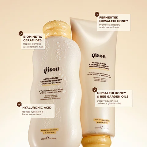 The image shows two white Gisou Honey Gloss Ceramide Therapy hair products, a Hydrating Shampoo bottle with 250ml e - 8.5 fl.oz and a Hydrating Conditioner tube with 200ml e - 6.8 fl.oz, featuring text highlighting BIOMIMETIC CERAMIDES Repairs damage & strengthens hair, HYALURONIC ACID Boosts hydration & locks in moisture, FERMENTED MIRSALEHI HONEY Promotes a healthy scalp microbiome, MIRSALEHI HONEY & BEE GARDEN OILS Deeply nourishes & delivers a glossy shine, and the phrase Hydration, Strength & Glossy Shine visible on both.