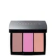 Anastasia Beverly Hills Blush Trio - Berry Adore